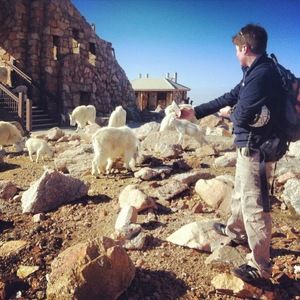 Meet your Posher, Nate